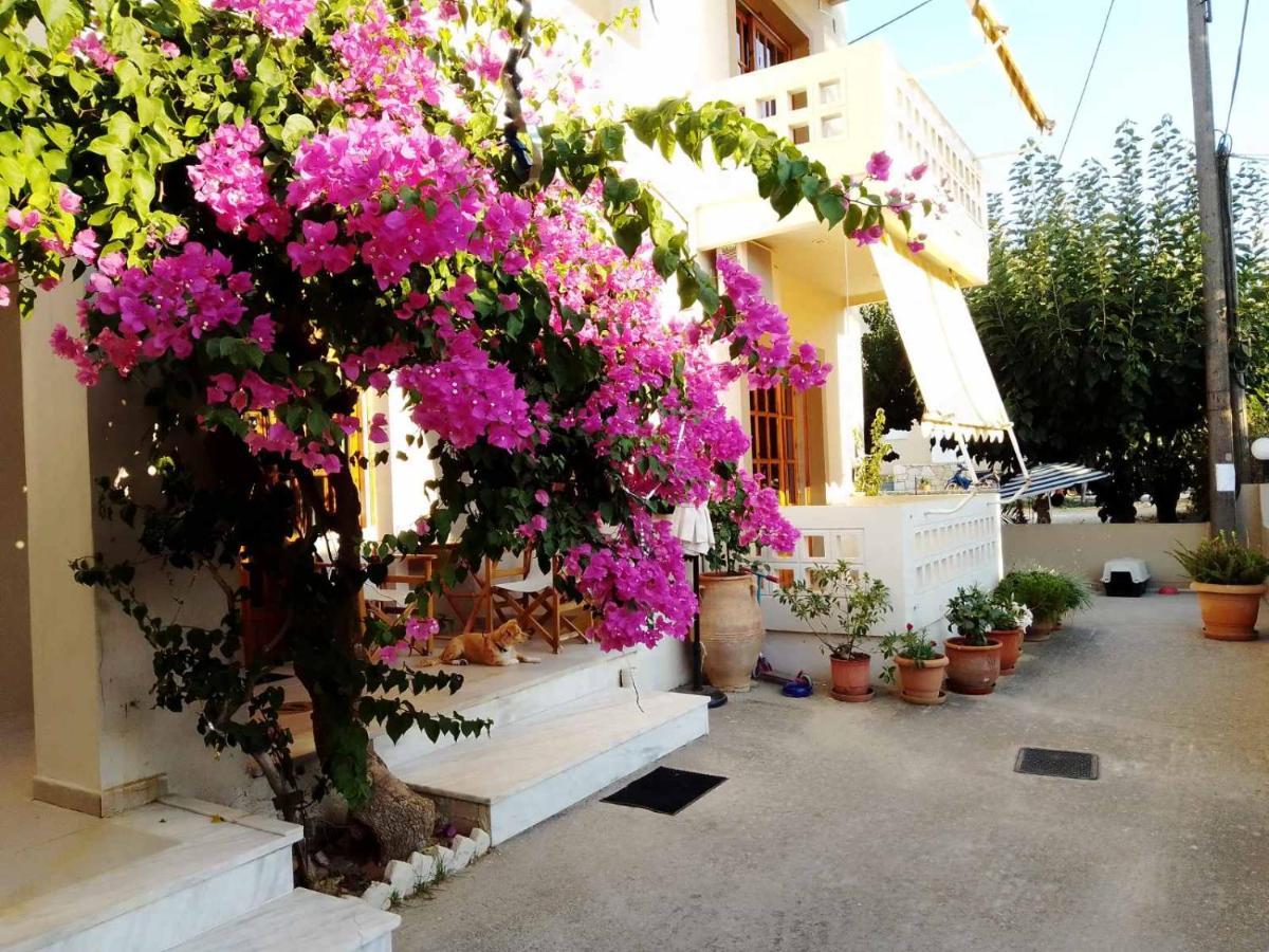 Irini Apartments Platanés エクステリア 写真