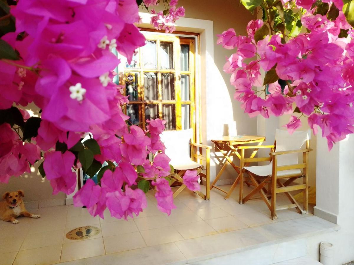 Irini Apartments Platanés エクステリア 写真